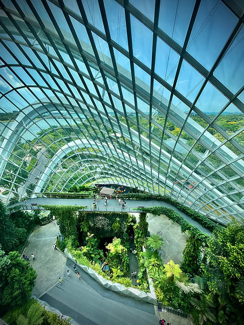 Gardens by the Bay Singapore