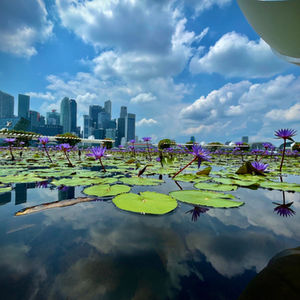sustainable architecture tour