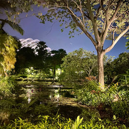forest REALMs: nature reserve tropical rainforest tour