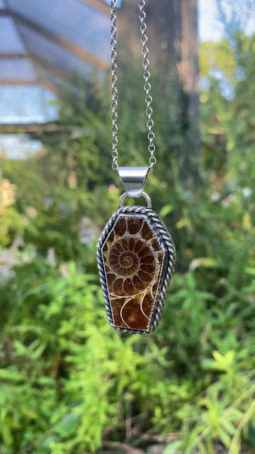 Thumbnail: Ammonite Fossil Coffin Sterling Silver Necklace Pendant