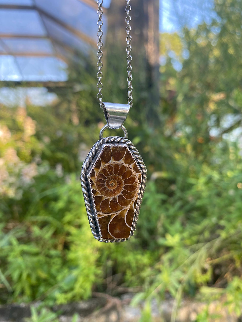Thumbnail: Ammonite Fossil Coffin Sterling Silver Necklace Pendant
