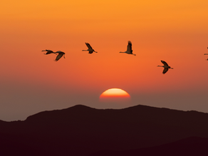 Bidden: Leren leven vanuit vertrouwen