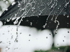How Brands Weather the Storm