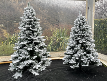 Christmas Trees