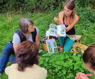 Reconnaissance des plantes avec Muriel Lallée
