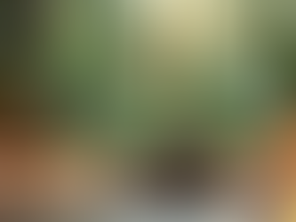 Exploring the Connection Between Natural Health and Spiritual Healing Techniques