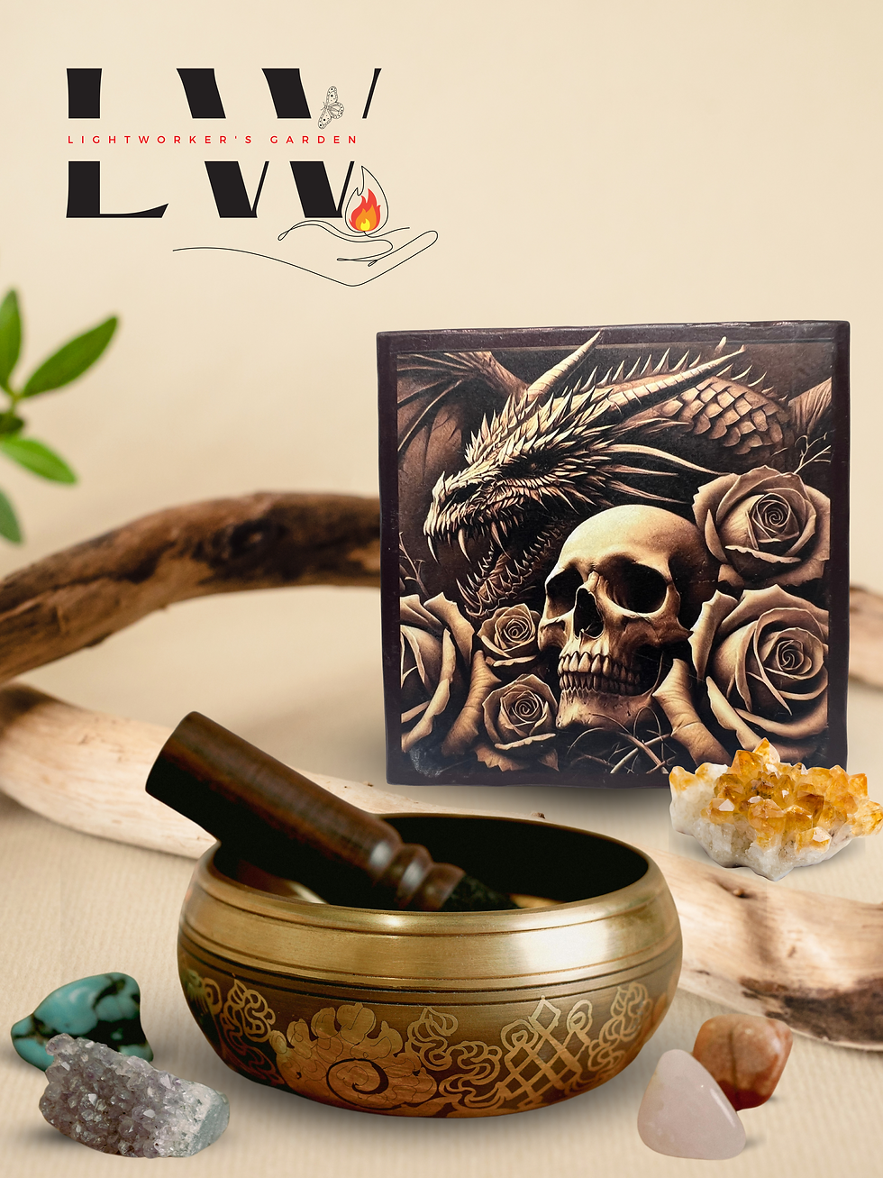 lightworkers-garden-manifestation-intention-box-dragon and skulls