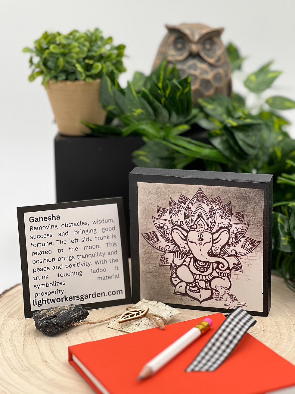 Thumbnail: Intention Boxes for Manifestation | Ganesha | Lightworkers Garden