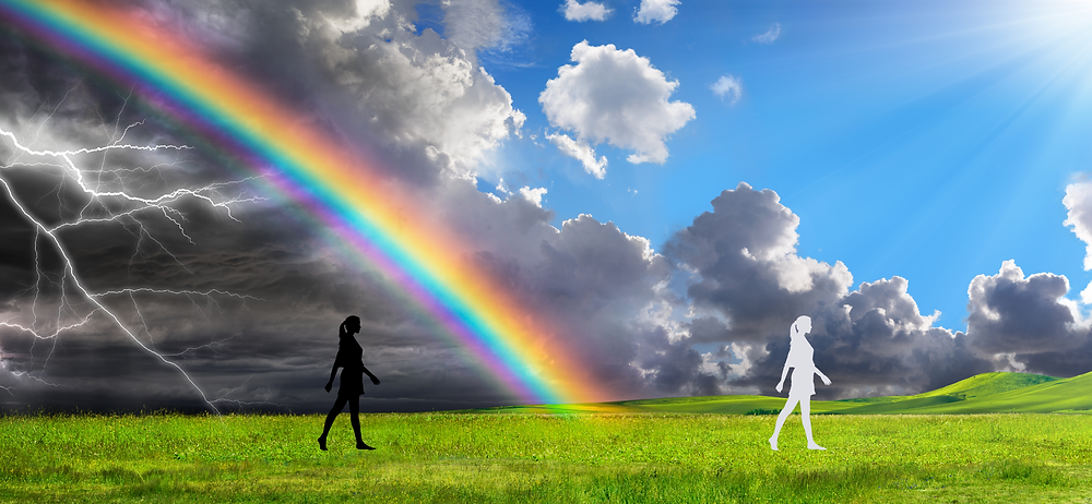 Shadow Helper Lightworker vs. Shadow Worker: Embracing Both Sides of Spirituality for ...