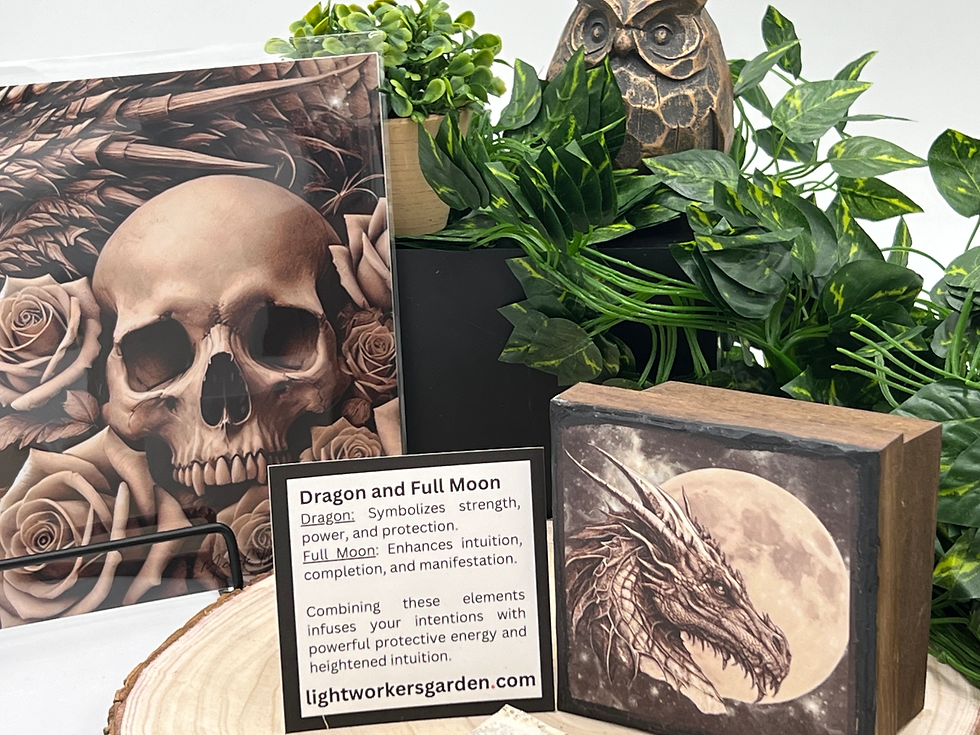 Thumbnail: Intention Boxes for Manifestation | Dragon and Full Moon | Lightworker's Gar