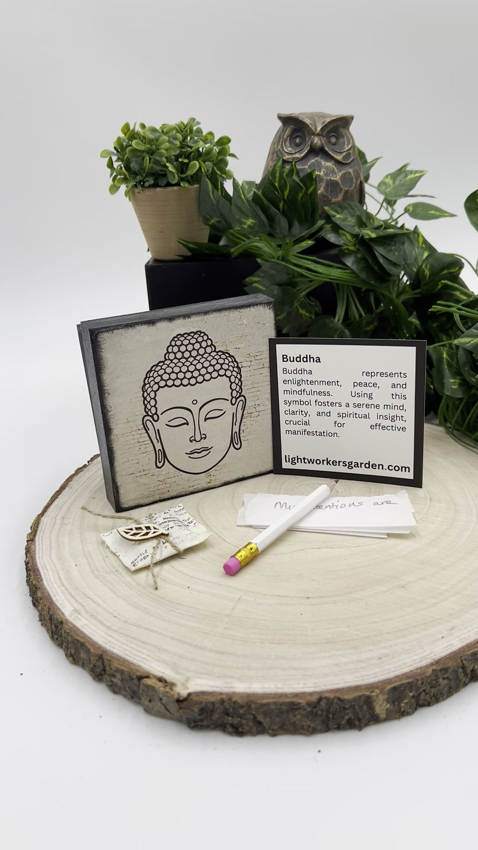 Thumbnail: Intention Boxes for Manifestation | Buddha | Lightworkers Garden