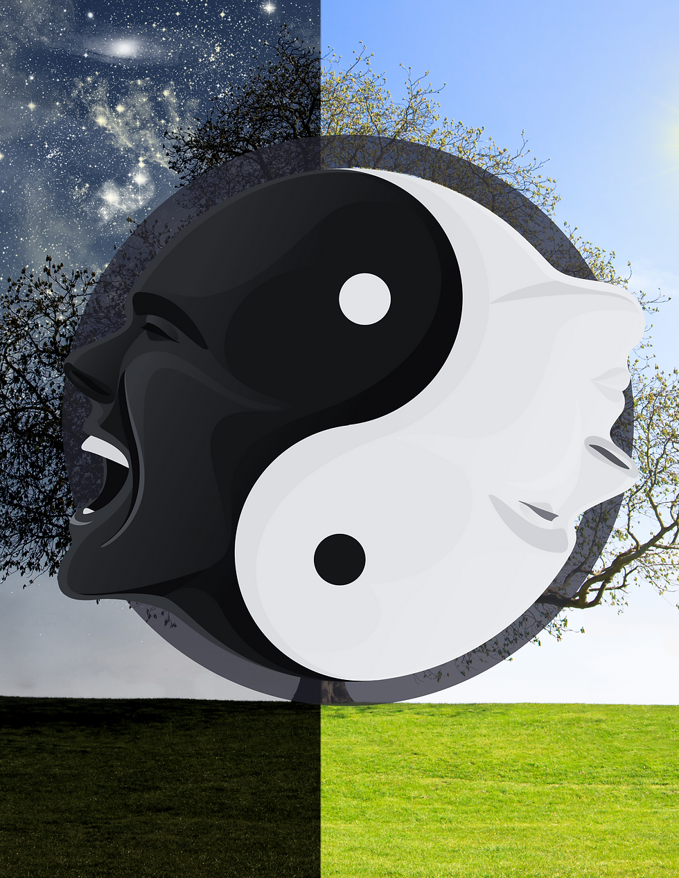 Lightworkers Garden, A symbolic representation of lightwork and shadow work coming together to create spiritual balance.