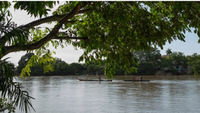 MinAmbiente financiará proyectos de restauración ecológica en Córdoba 