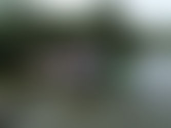 Iniciaron intervenciones para la recuperación de la ciénaga de Mallorquín