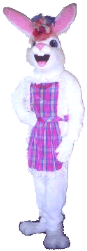 Bunny (Multicolor Plaid - Female)