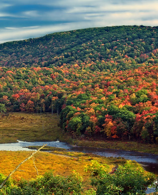 Bear Creek Preserve by Nicholas A. Tonelli