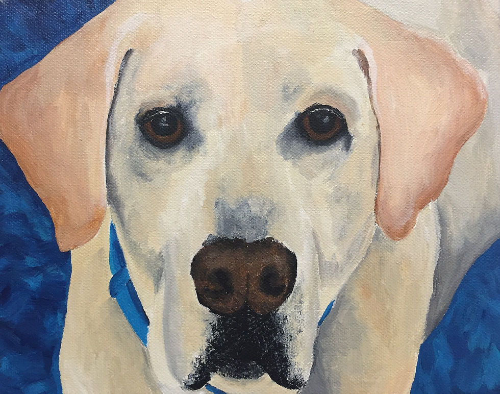 Toby2015