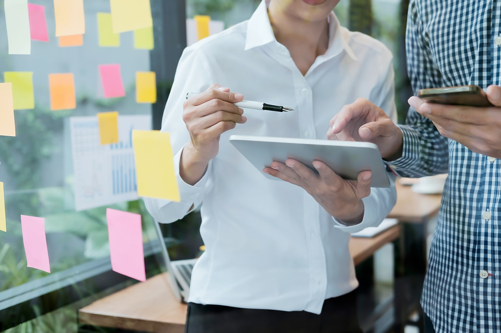 freelance software engineer