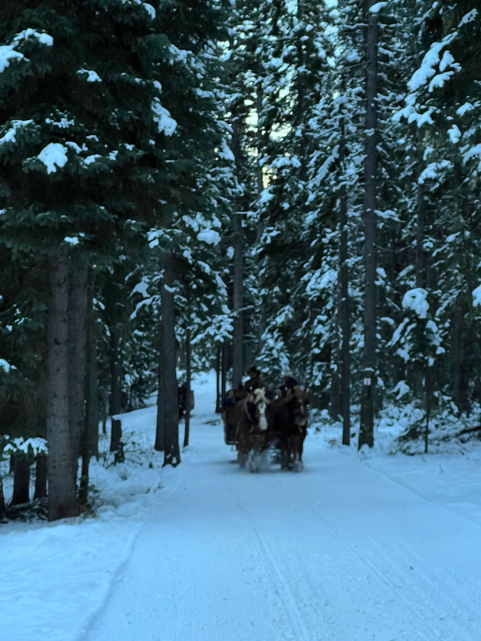 Sleigh Ride.jpeg