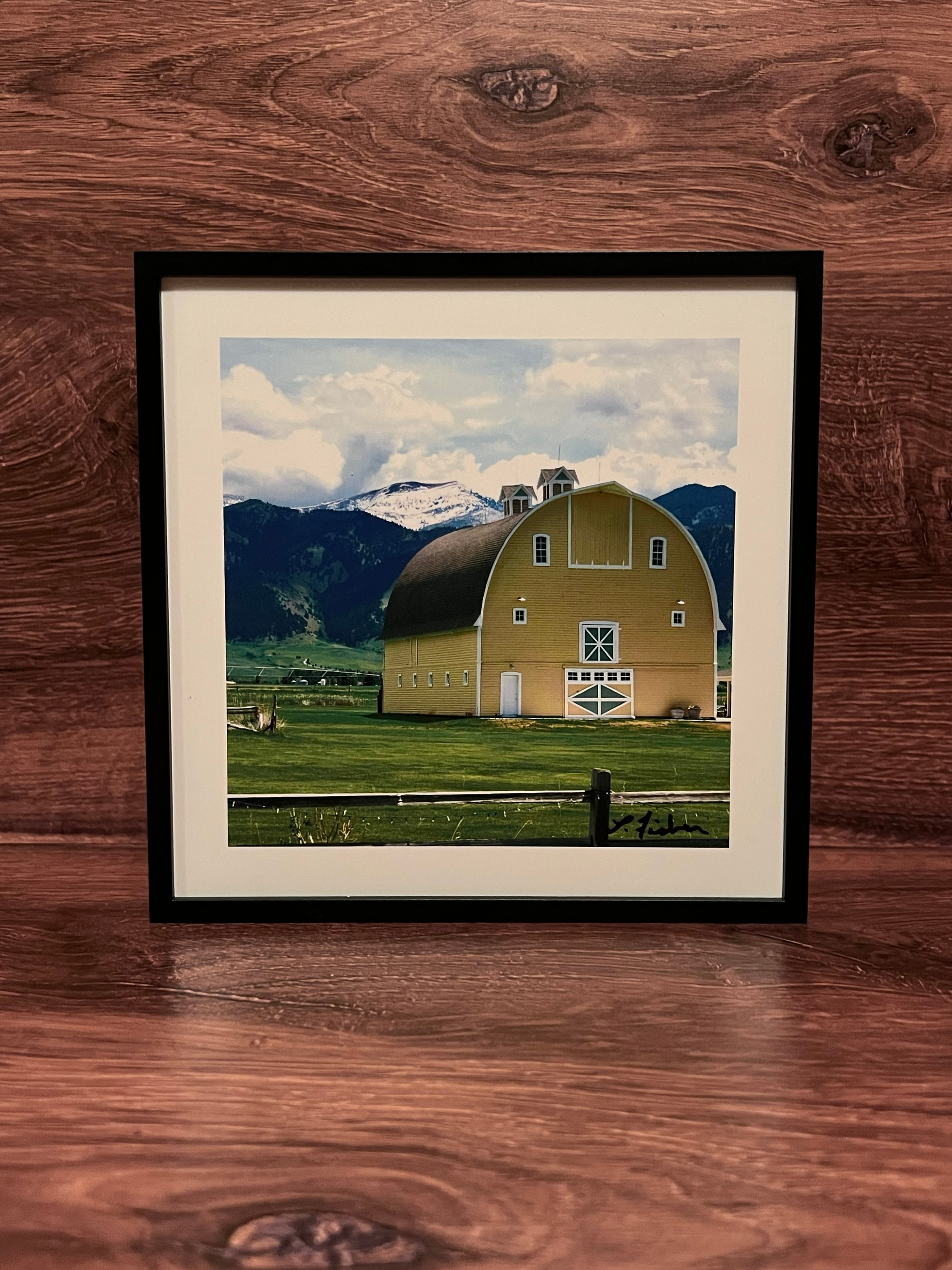 Big Yellow Barn