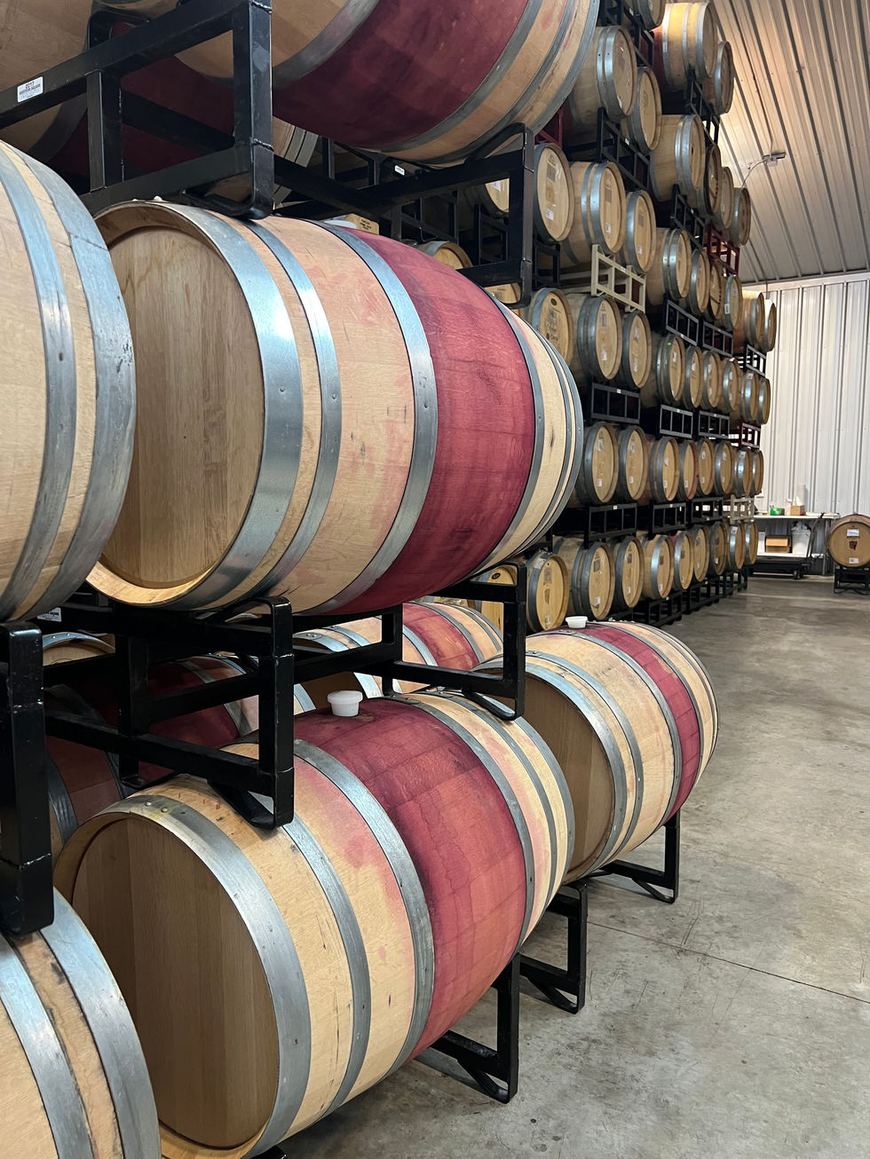 Wine Barrels.jpeg