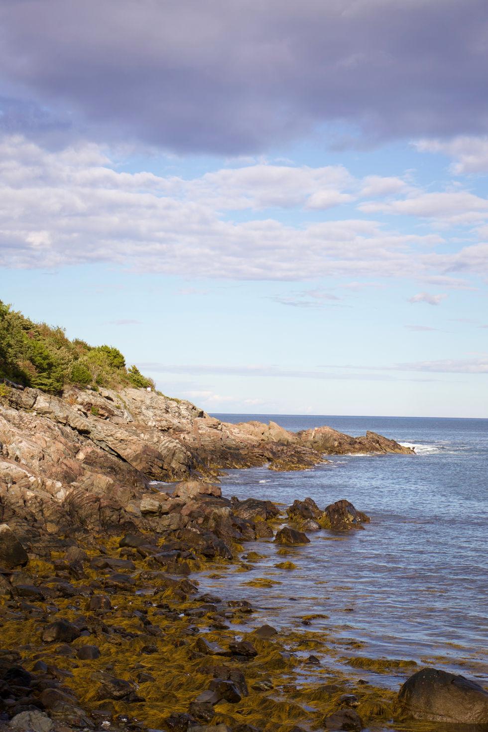 Marginal Way 2.jpeg