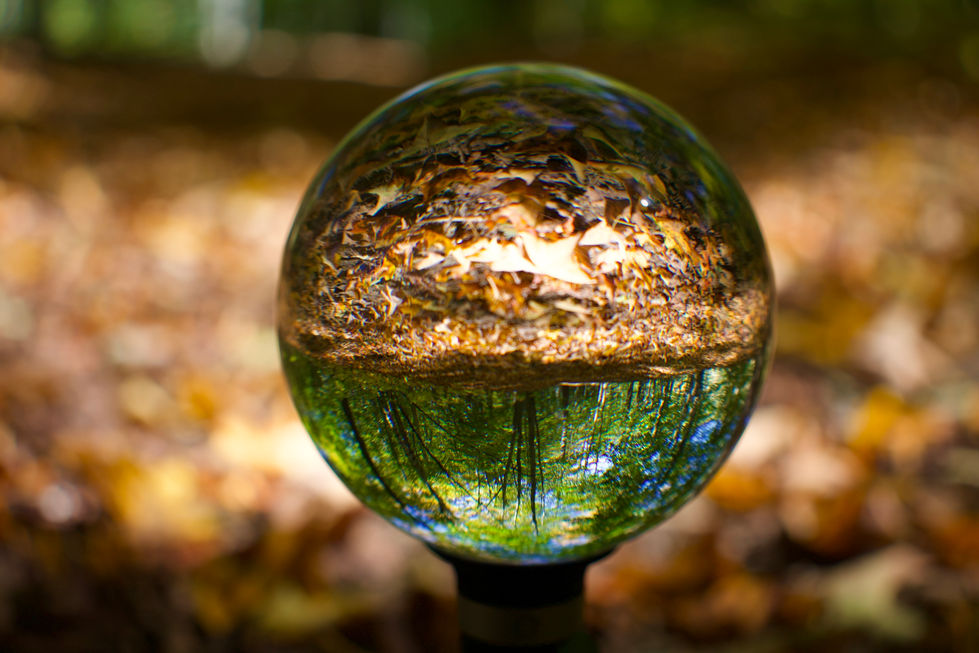 Forest Lens Ball.jpeg