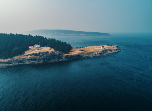 coextinction-aerial-saturna-island-1.jpg