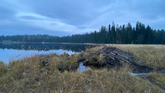 IMG_3885.jpeg