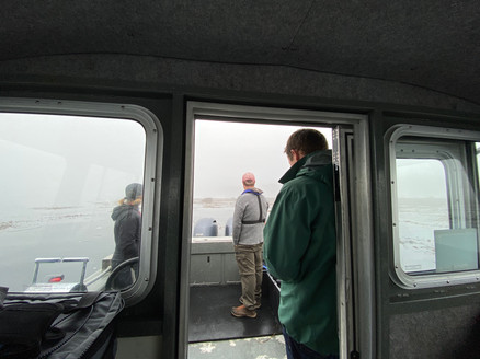 IMG_9975.jpeg
