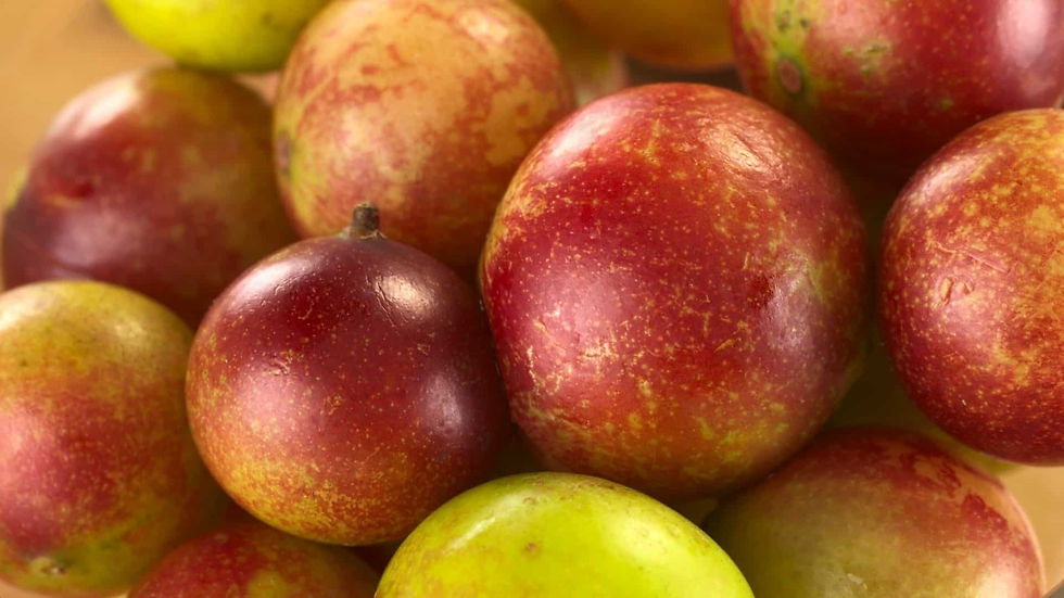 Camu-Camu-superfood.jpeg