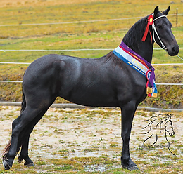 Screen Shot 2025-10-12 at 9.05.55 am.png