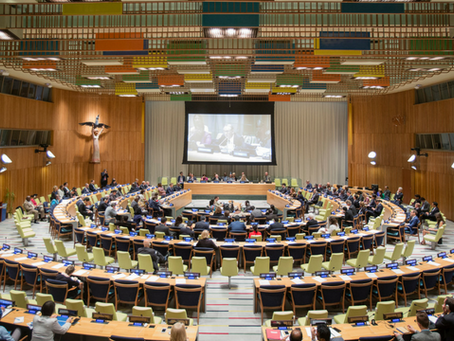 The Repurposed UN Trusteeship Council for the Future: PART – I: The Context and the Idea