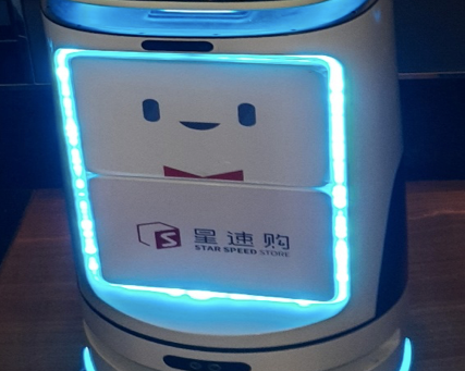 Blog Special:Taming the Beast: On the Global Regulation of Artificial Intelligence for a Safe Future