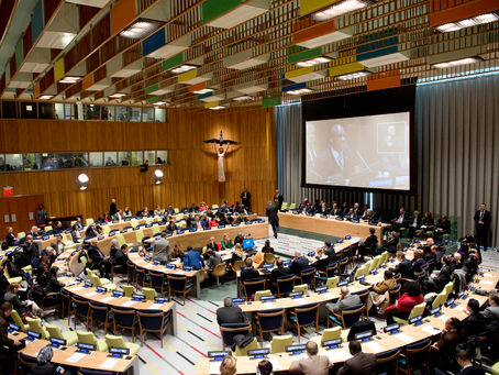 The Repurposed UN Trusteeship Council for the Future: PART – II: A New Mandate in the New Context