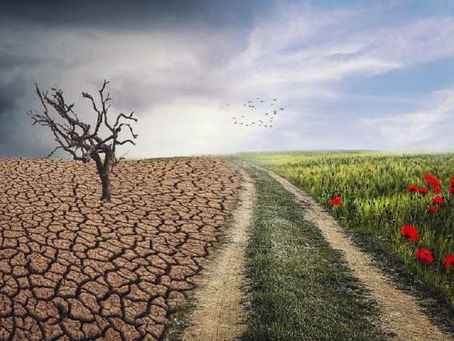 Blog Special: India needs to invigorate its Climate Diplomacy