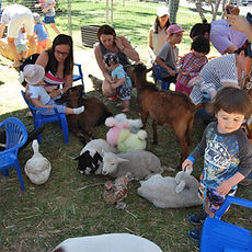 Brisbane Mini Farm Pettig Zoo