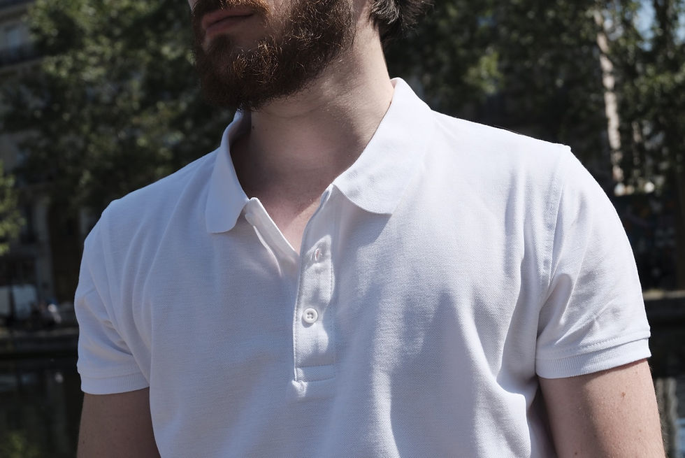 Miniature : The Polo 
