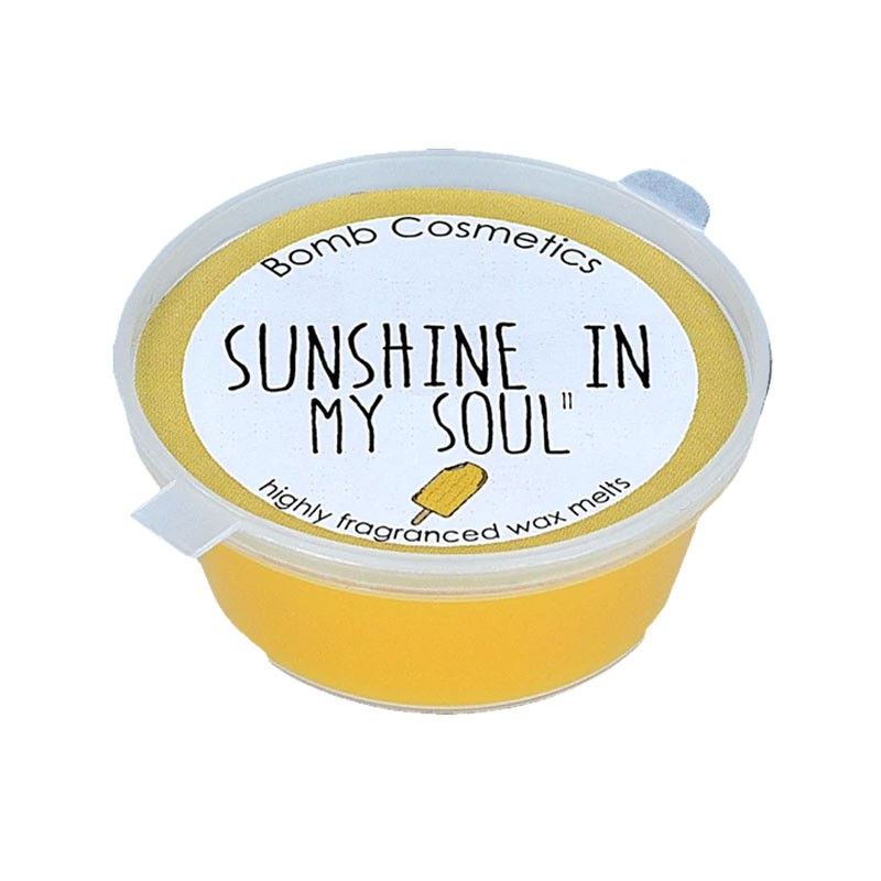 Sunshine In My Soul Mini Melt