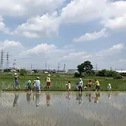 活動内容8.webp
