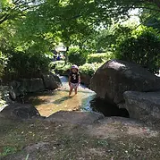 活動内容4