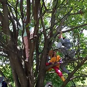 活動内容9.webp