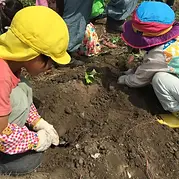 活動内容3