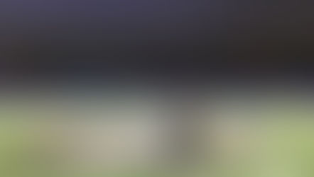 10 Tips to Survive (and Thrive) in a Career in Sports