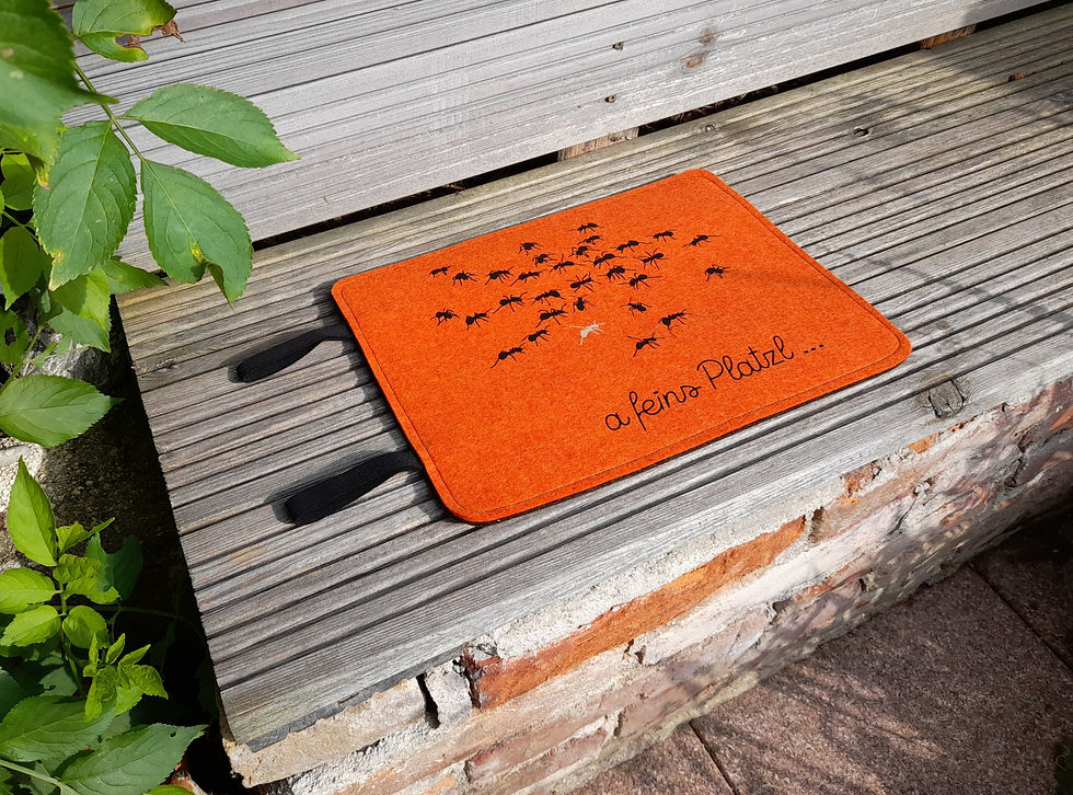 Miniaturbild: Sitzunterlage "Ameisen"