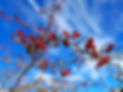 20201122_165458.jpg