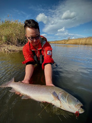 北海道の釣りガイドkamuy イトウ