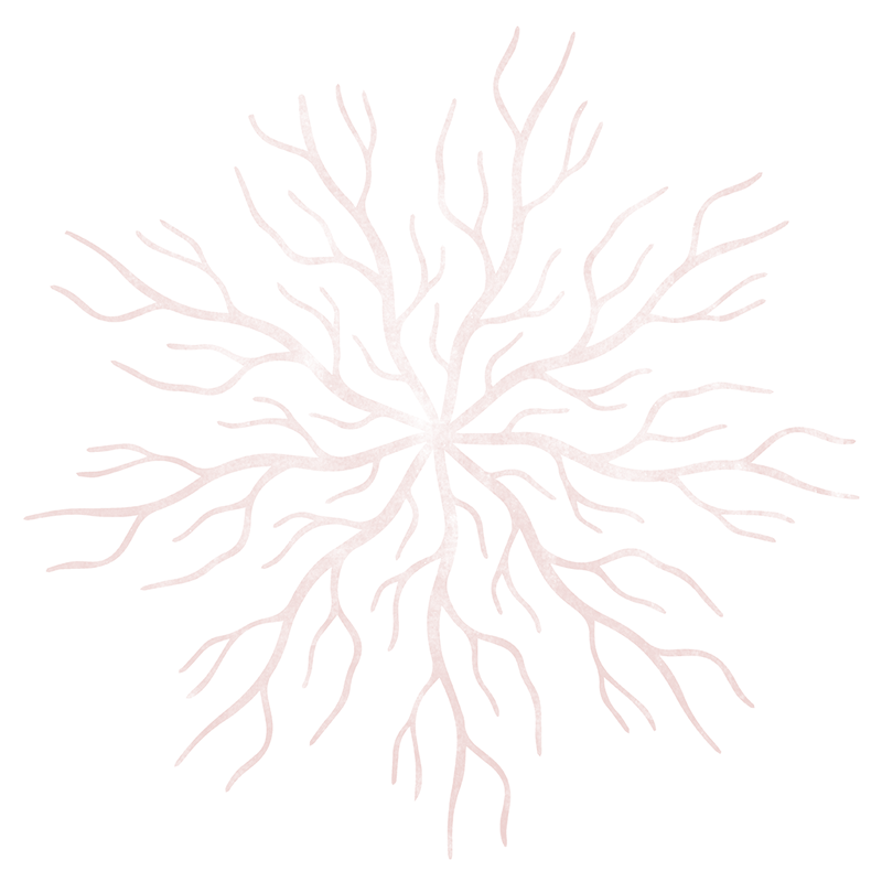 Radici disegno