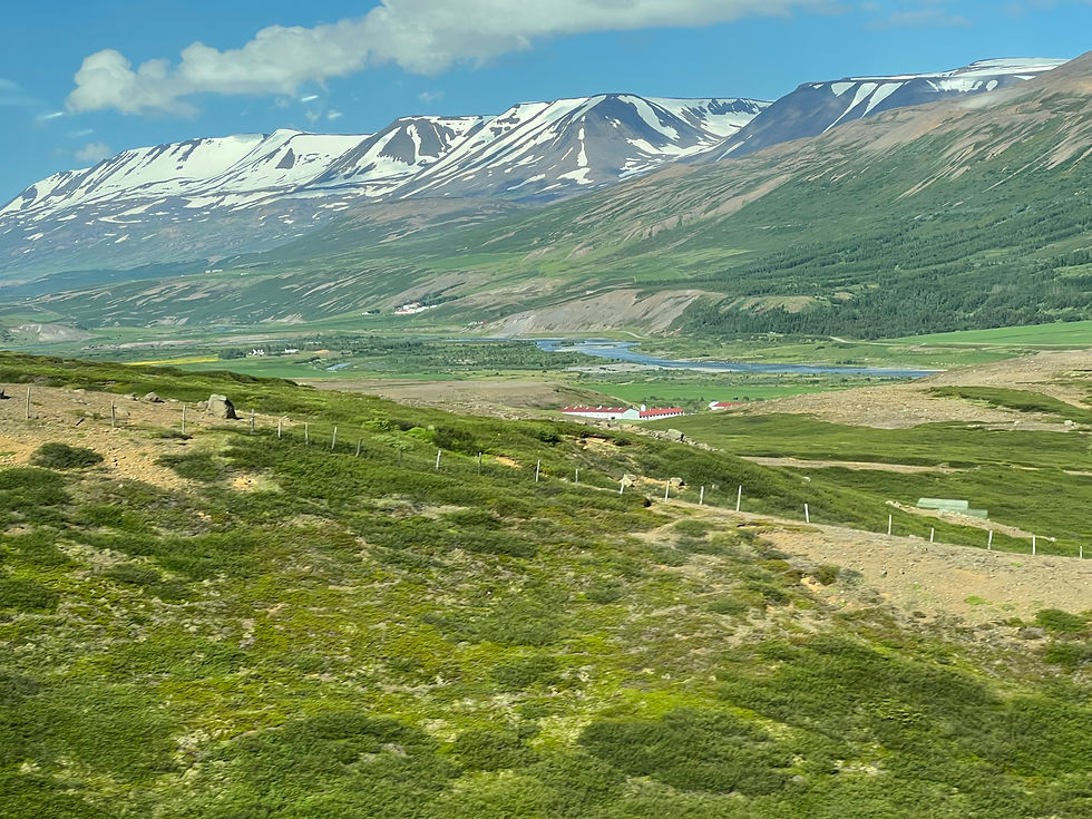 Iceland in June