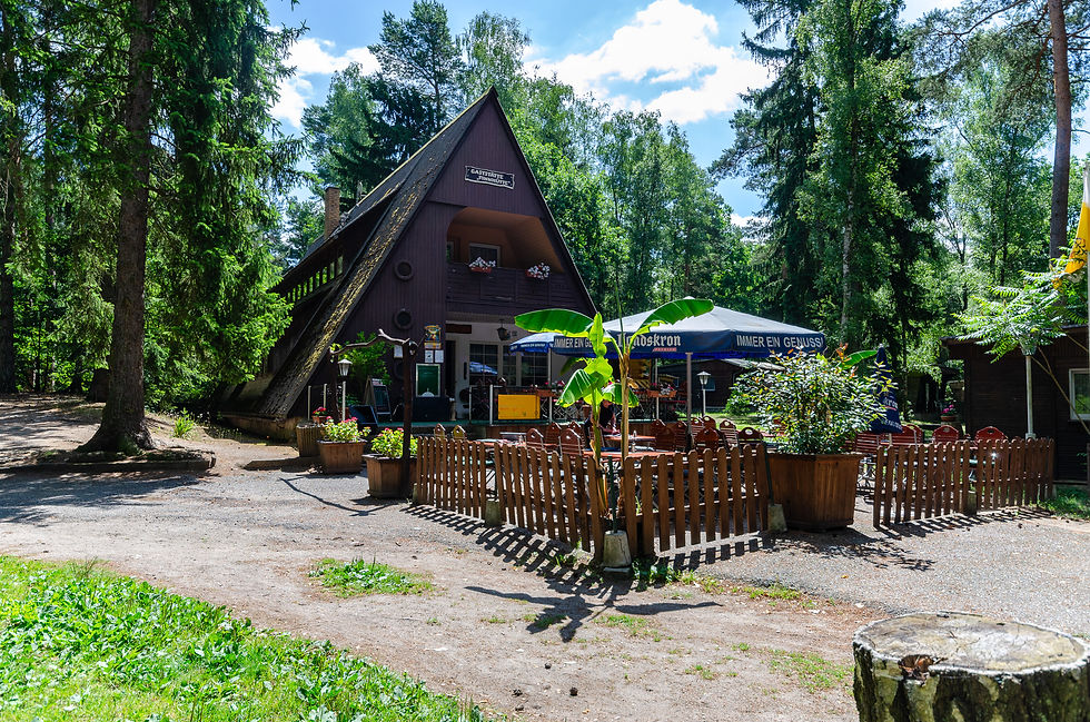 DSC_0018.jpg